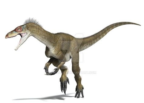 eoraptor dinosaur.